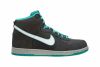 Nike Dunk High Mens Style 317982