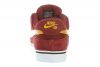 Nike Zoom Paul Rodriguez Mens Style 386613