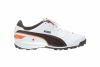 PUMA ESITO FINALE TT MENS STYLE # 102011