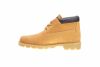 Timberland Wp Chukka  Big Kids Style  10922