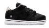 Nike Sb Dunk Low Pro Qs Toddlers Style : Dc1629-001