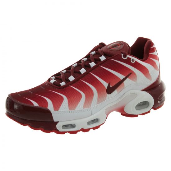 Nike Air Max Plus After The Bite-101