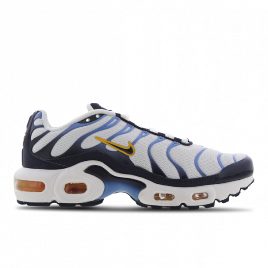 Nike Air Max Plus Big Kids Style : Cd0609-100