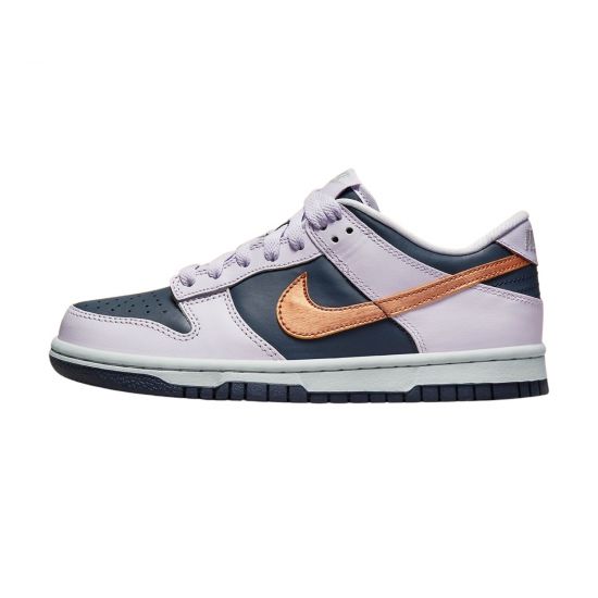 Nike Dunk Low Se Big Kids Style : Dx1663-400