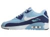 Nike Air Max 90 Ltr Big Kids Style : 833376-401