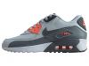 Nike Air Max 90 Ltr Big Kids Style : 833376