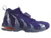 Nike Air Dt Max 96 Crt Purple/Irn Purple-Atomic Orange-500