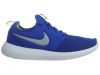 Nike Roshe Two Mens Style : 844656-401