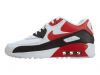 Nike Air Max 90 Ltr Big Kids Style : 833412-107