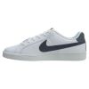 Nike Court Royale White Light Carbon-105