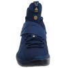 Nike Lebron Xiv Lmtd Mens Style : 852402