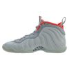 Nike Air Foamposite Pro Pure Platinum (Gs)-005