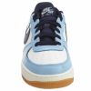 Nike Air Force 1 Premium (Gs) Big Kids Style : 748981