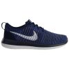 Nike Roshe Two Flyknit Mens Style : 844833-402