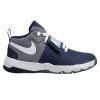 Nike Team Hustle D 8 Big Kids Style : 881941-401