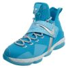 Nike Lebron Xiv Hwc Big Kids Style : Aa3258