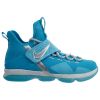 Nike Lebron Xiv Hwc Big Kids Style : Aa3258