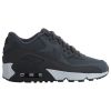 Nike Air Max 90 Ltr Big Kids Style : 833412-015