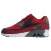 Nike Air Max 90 Ltr Big Kids Style : 833412-601