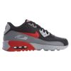 Nike Air Max 90 Ltr Big Kids Style : 833412-024