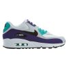 Nike Air Max 90 Essential Mens Style : Aj1285-103