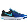 Nike Flex Experience 5 Big Kids Style : 844995-405