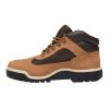 Timberland Field Boot Mens Style : Tb0a1xp5