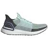 Adidas Ultraboost 19 Mens Style : F35244