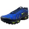 Nike Air Max Plus Big Kids Style : Cd0609-401