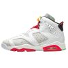 Jordan 6 Retro Alligator Big Kids Style : 384665-062