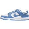 Nike Dunk Low Retro Mens Style : Dd1391-102