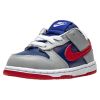 Nike Dunk Low Sp Toddlers Style : Db4605-400