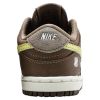 Nike Dunk Low Sp/undftd Toddlers Style : Dj4307-200