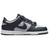 Nike Dunk Low Little Kids Style : Cw1588-004