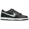 Nike Dunk Low Big Kids Style : Dc9560-001