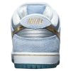 Nike Sb Dunk Low Pro Qs Mens Style : Dc9936-100