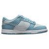 Nike Dunk Low Big Kids Style : Dh9765-401