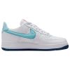 Nike Air Force 1 Low/pr Day Mens Style : Dq9200-100