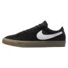 Nike Sb Zoom Blazer Low Pro Gt Mens Style : Dc7695-004