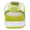 Nike Sb Dunk Low Pro Mens Style : Dm0807-300