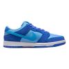 Nike Sb Dunk Low Pro Mens Style : Dm0807-400