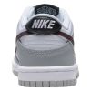 Nike Dunk Low Se Big Kids Style : Dq0380-001