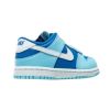 Nike Dunk Low Retro Qs Toddlers Style : Dv2634-400