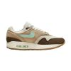 Nike Air Max 1 Prm Mens Style : Fd5088-200