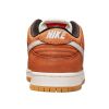 Nike Sb Dunk Low Pro Iso Mens Style : Dh1319-200