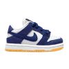 Nike Sb Dunk Low Pro Toddlers Style : Dn3673-401