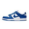 Nike Dunk Low Sp Mens Style : Cu1726-100