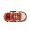 Nike Dunk Low Toddlers Style : Dh9761-003