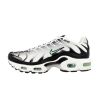 Nike Air Max Plus Big Kids Style : Cd0609-106