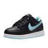 Nike Dunk Low Se Little Kids Style : Dh9755-001